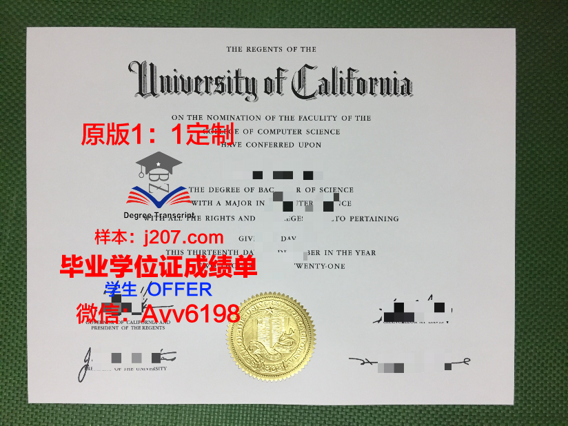 罗斯福大学毕业证成绩单