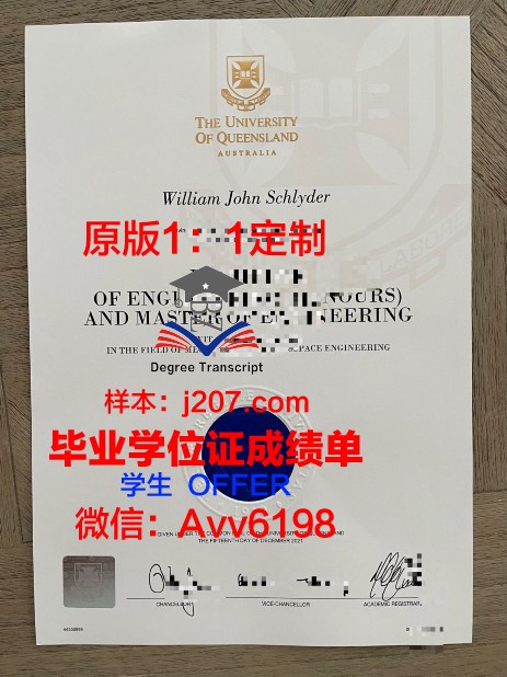 沙尔达大学毕业证好找工作吗(印度沙尔达大学)