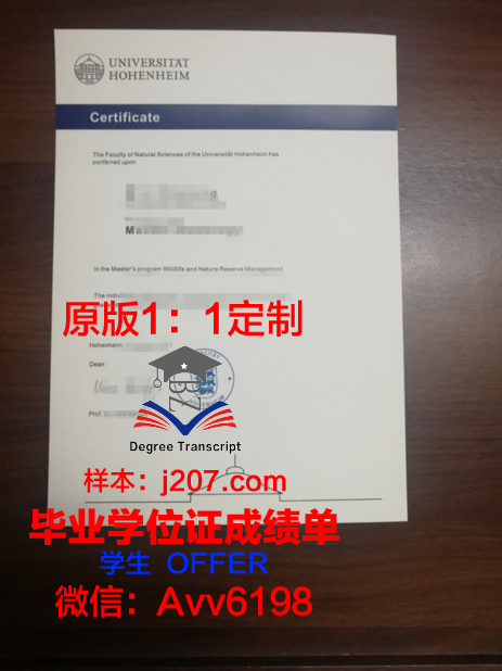 罗森海姆应用技术大学硕士毕业证:一张通往未来的通行证