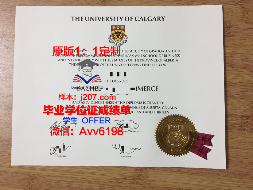 沙希德佐勒菲卡尔·阿里·布托科技学院几年可以毕业证