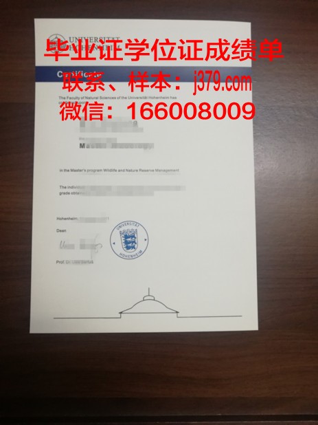 盖森海姆应用技术大学学位证(德国盖森海姆大学)