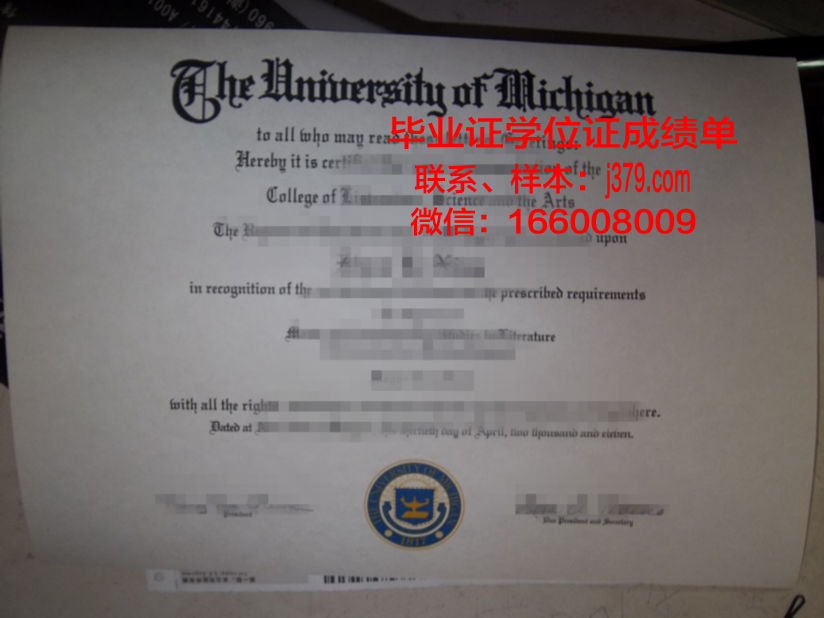巴拿马理工大学毕业证好找工作吗(巴拿马留学怎么样)
