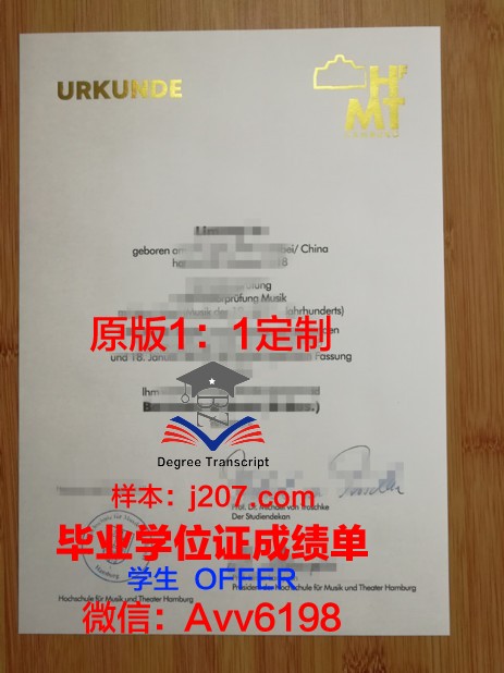 汉堡造型艺术学院文凭(汉堡艺术大学)