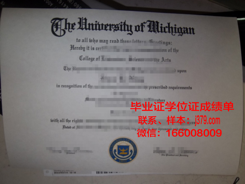巴萨大学毕业证:跨越国界的学术荣耀
