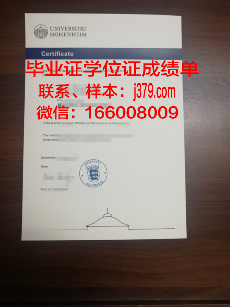 盖森海姆应用技术大学毕业证案例