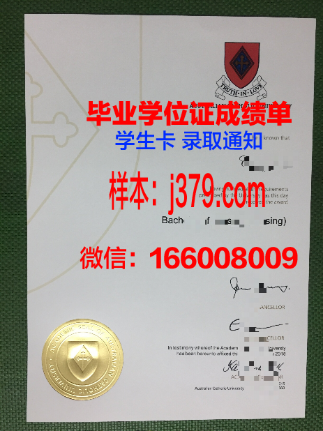 巴拉那天主教大学研究生毕业证书