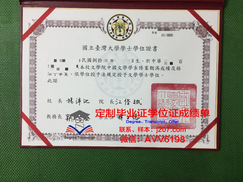 沃罗涅日国立师范大学毕业证书模板(沃罗涅日国立艺术学院)