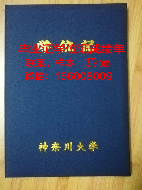 神奈川大学毕业证是什么样子(神奈川大学毕业证是什么样子图片)