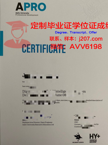 阿尔托大学毕业证图片Aalto University Diploma