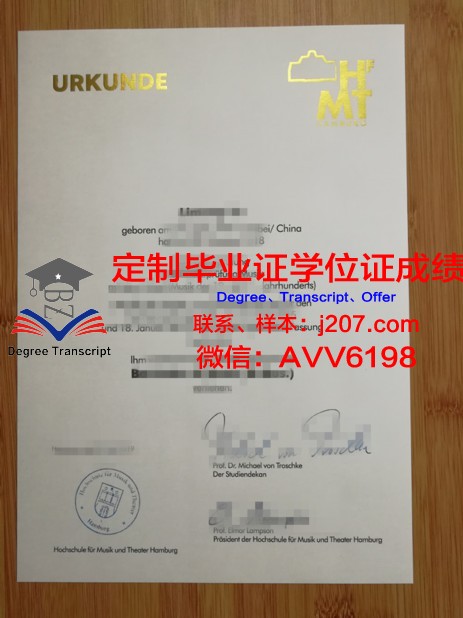汉堡U博士毕业证：一张纸的重量与价值