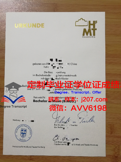 汉堡大学毕业证图片(汉堡大学好毕业吗)
