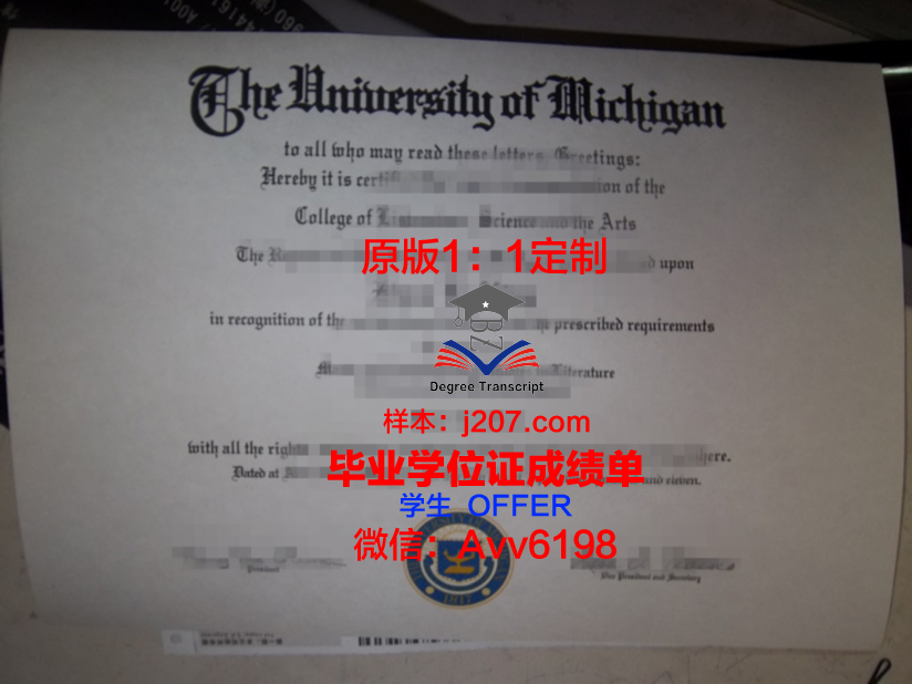 罗萨里奥国立大学毕业证壳子(萨里国际学院毕业证)