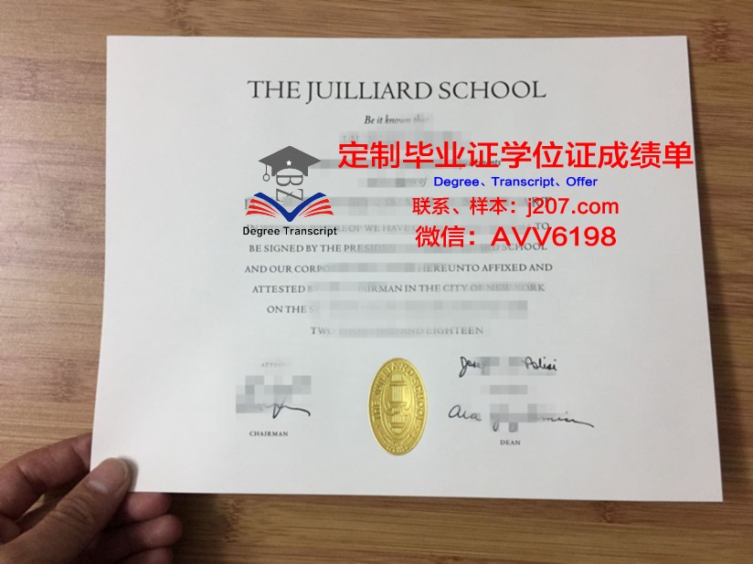 罗维戈音乐学院毕业证模板(罗维音乐)