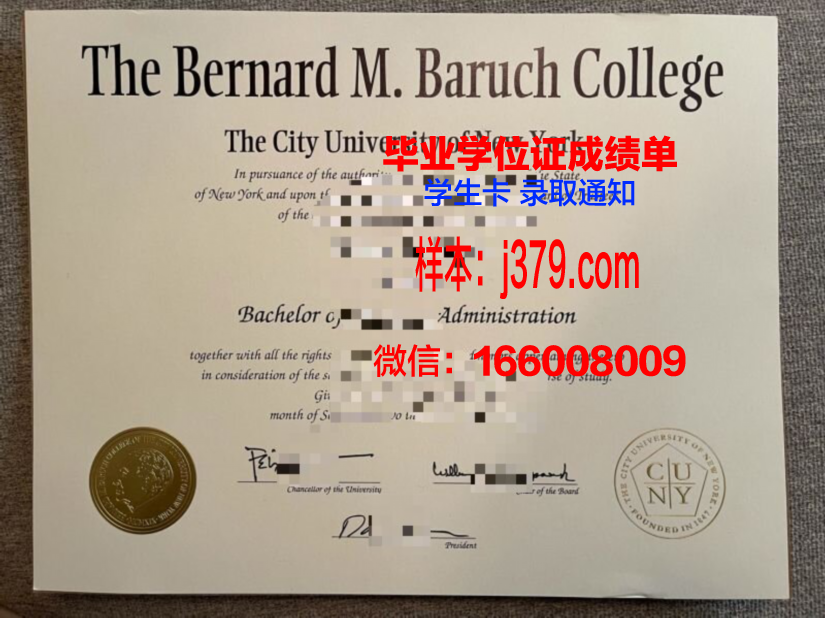 巴鲁克学院毕业证图片