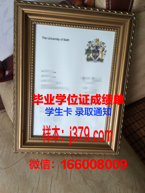 巴斯思巴大学毕业证外壳(巴斯大学本科申请条件)