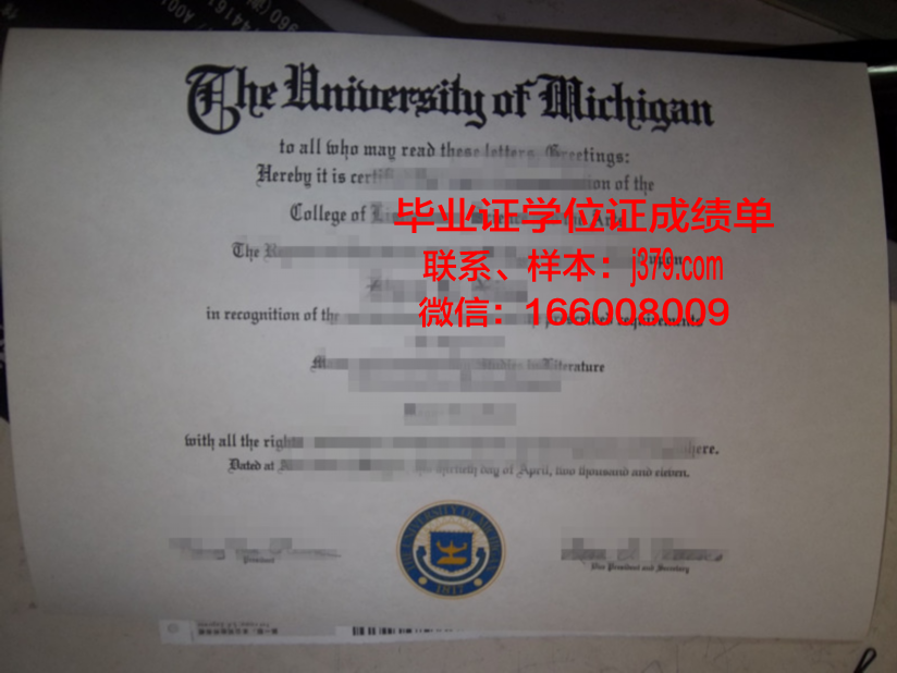 巴比什-波雅依大学博士毕业证:一份跨越时空的荣誉证书
