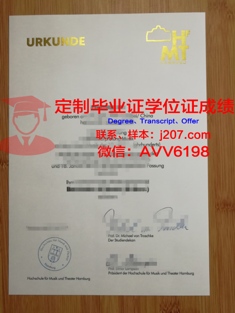 汉堡U博士毕业证：一张纸的重量与价值