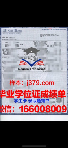 阳大成绩单：一份承载希望与梦想的荣誉证书