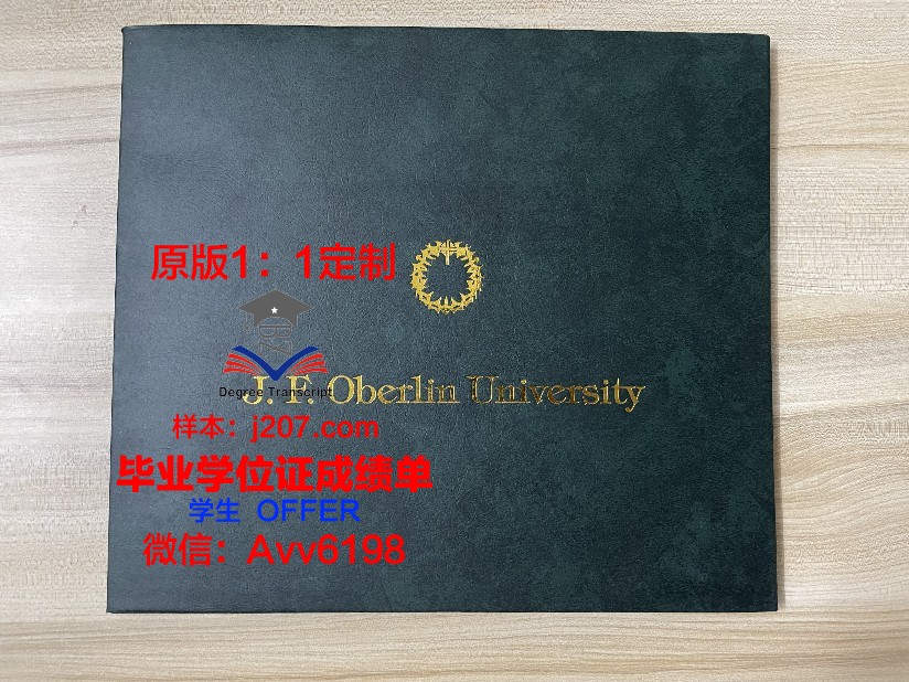 美因茨大学毕业证好找工作吗(美因茨大学在哪个城市)