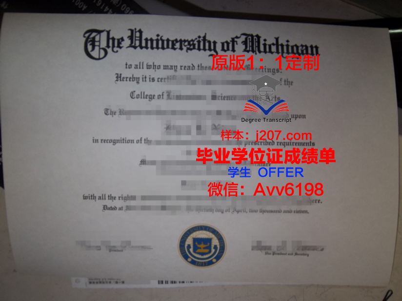 网上大学毕业证:时代的产物与未来的挑战