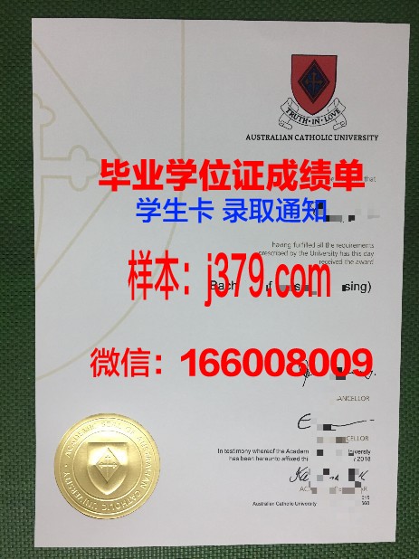 巴拉那天主教大学毕业证定制:传承与创新的艺术结晶