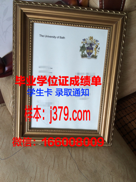 巴斯博士学位证:一份承载荣誉与梦想的证书