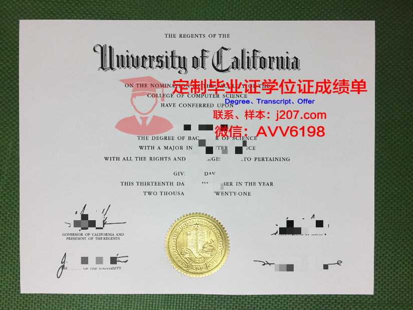 罗塔克马哈希达亚南德大学毕业证成绩单：一张纸背后的故事