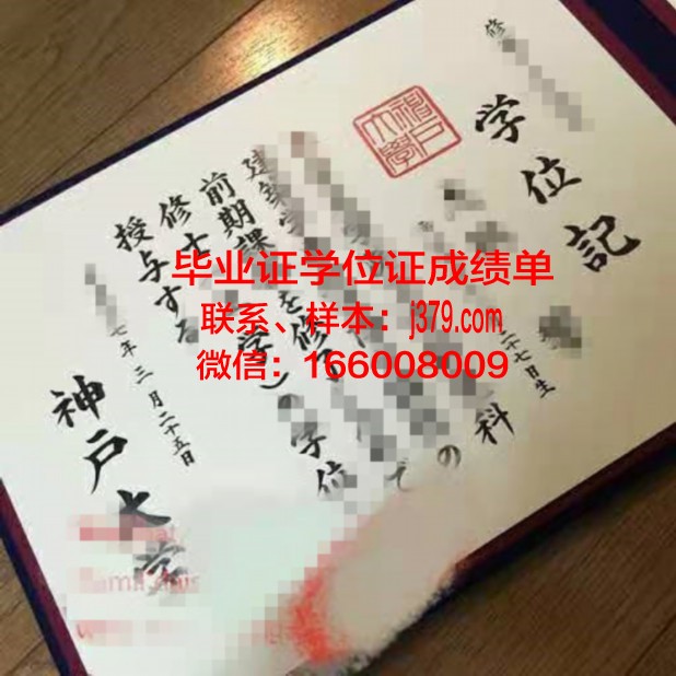 神户医疗福祉大学博士毕业证:开启医学研究新篇章