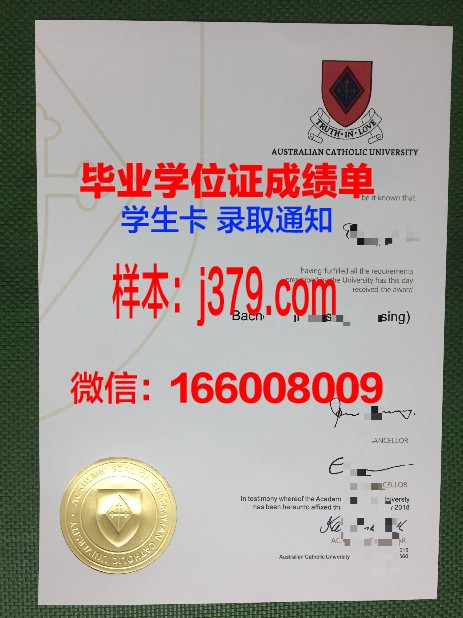 巴拉那天主教大学毕业证书