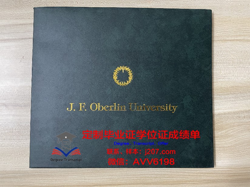 沙尔达大学毕业证好找工作吗(印度沙尔达大学)