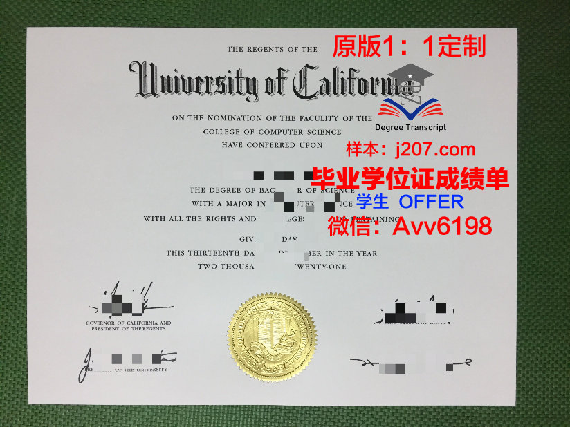 网上大学毕业证:时代的产物与未来的挑战