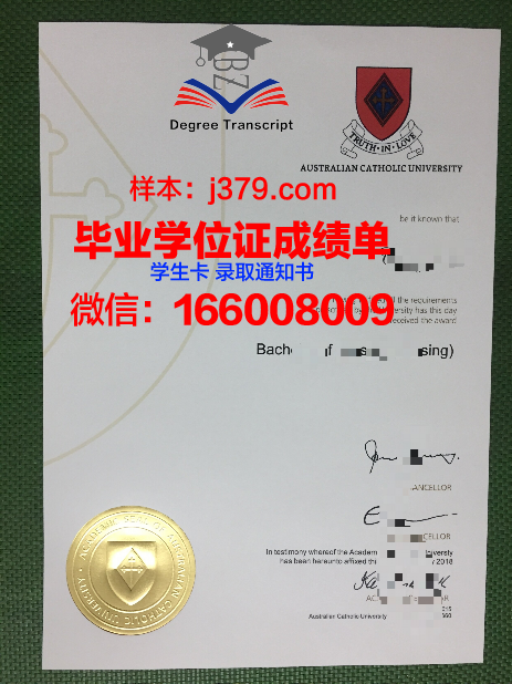 巴拉那天主教大学毕业证定制：传承与创新的艺术结晶
