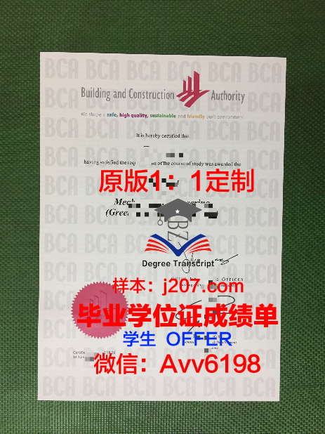 罗斯托夫国立建筑大学毕业证：开启建筑领域新篇章