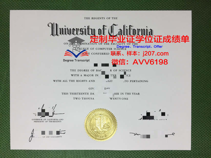罗杰威廉姆斯大学毕业证图片
