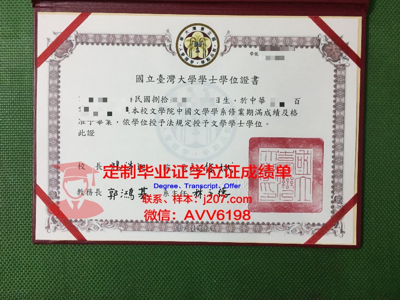 罗斯托夫国立师范大学毕业证书模板(罗斯托夫国立大学排名)
