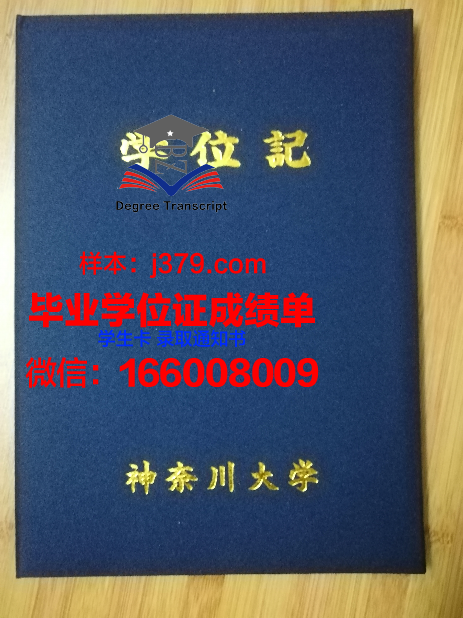 神奈川大学硕士毕业证:跨越国界的学术成就