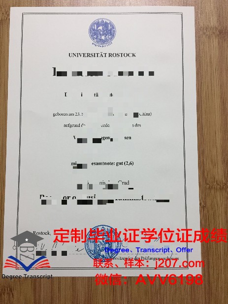 罗斯托克大学毕业证diploma