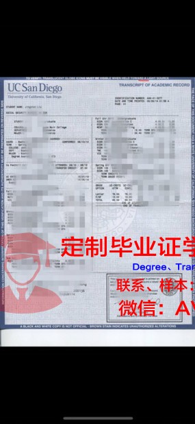 沙希德巴霍纳科尔曼大学成绩单：一份见证青春与成长的纸笔传奇