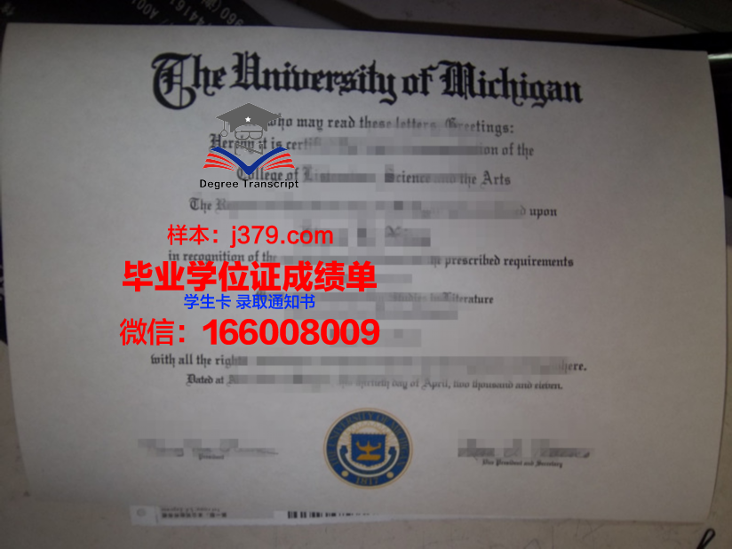 碧瑶大学毕业证是什么样子(碧瑶是哪个小说里的人物)