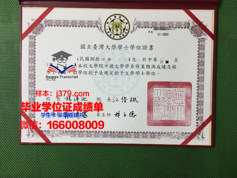沃罗涅什国立林业技术大学毕业证高清图(沃罗涅日国立林业技术大学4+2)