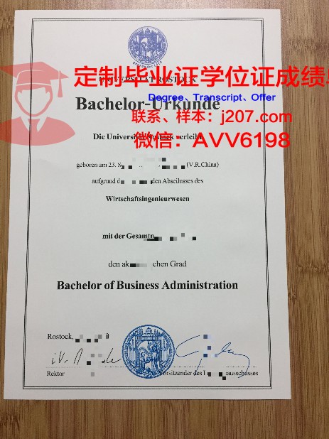 罗斯托克大学毕业证等级(罗斯托克大学申请难度)
