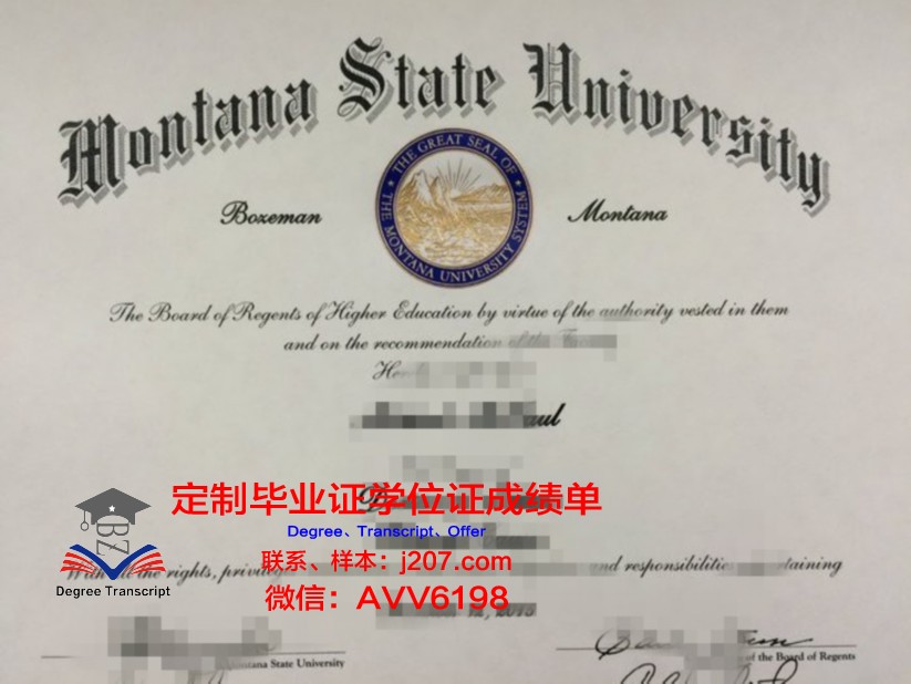 沙尔达大学博士毕业证(沙尔达大学博士毕业证书图片)