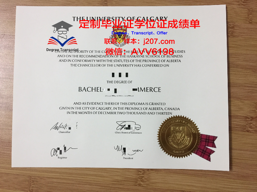 沙希德佐勒菲卡尔·阿里·布托科技学院毕业证是什么样子