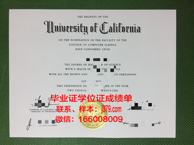 盛冈大学毕业证电子版