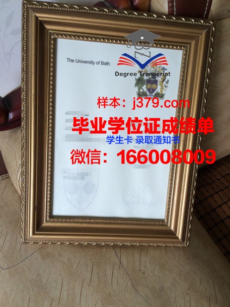 巴斯博士学位证：一份承载荣誉与梦想的证书