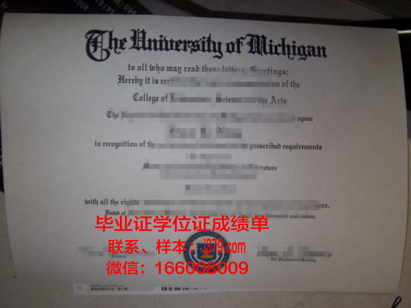 缅因大学毕业证图片University of Maine Diploma