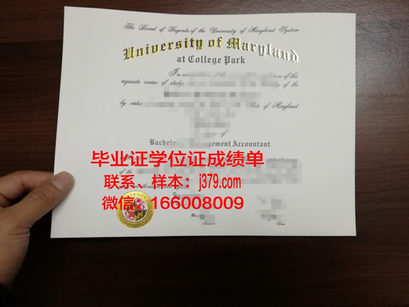 马里兰大学巴尔迪默分校毕业证学位文凭学历Diploma