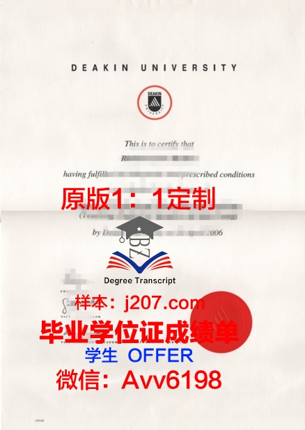 沙东工作室文凭(沙东工疗站)