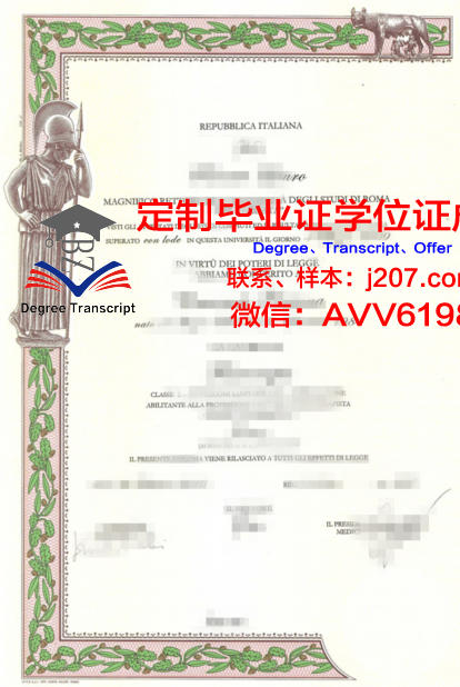 罗马大毕业证:一段跨越时空的学术传承