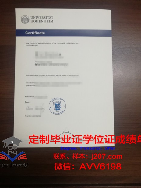 罗森海姆应用技术大学硕士毕业证：一张通往未来的通行证